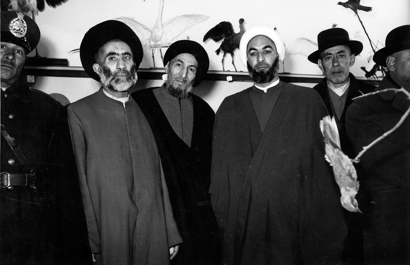 موزه حیات وحش