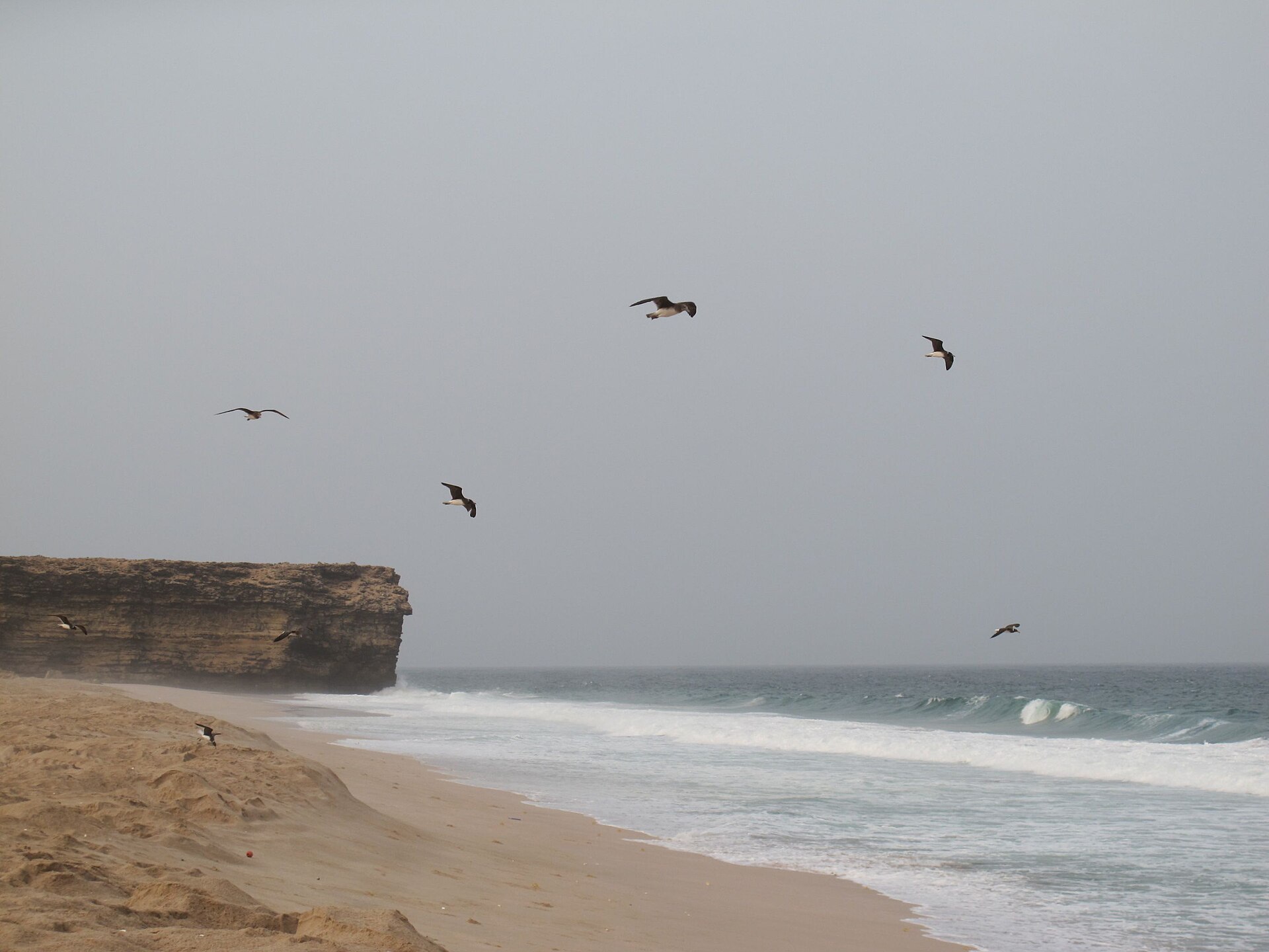 Ras Al Jinz Turtle Reserve